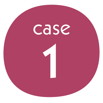 case1